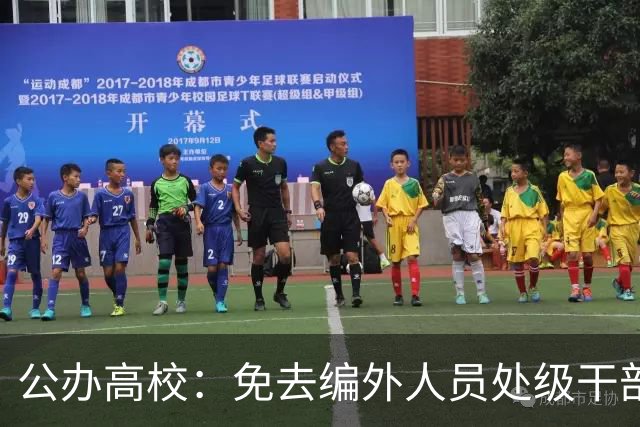 公办高校：免去编外人员处级干部职务