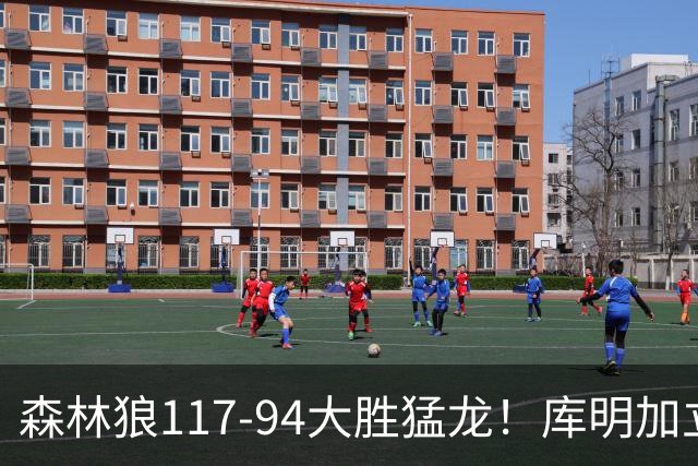 森林狼117-94大胜猛龙！库明加立大功，此战看到4个事实：8换2交易很值得