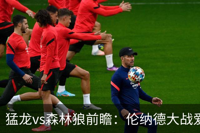 猛龙vs森林狼前瞻：伦纳德大战爱德华兹，一场不同风格的强硬对决