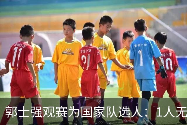 郭士强观赛为国家队选人：1人无悬念，2人迎机会，3人恐落选