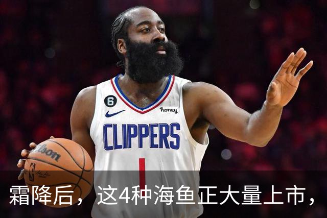 霜降后，这4种海鱼正大量上市，价格全年最低，大爷大妈抢着要